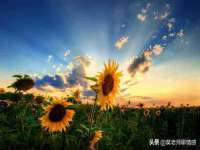 常州常裕商务信息咨询有限公司