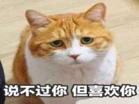 常州常裕商务信息咨询有限公司