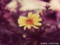 常州常裕商务信息咨询有限公司