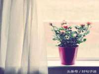 常州常裕商务信息咨询有限公司