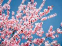 常州常裕商务信息咨询有限公司