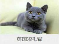 常州常裕商务信息咨询有限公司