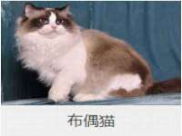 常州常裕商务信息咨询有限公司