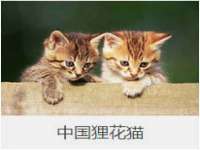 常州常裕商务信息咨询有限公司