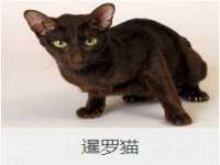 常州常裕商务信息咨询有限公司