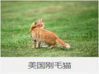 常州常裕商务信息咨询有限公司
