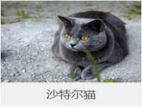 常州常裕商务信息咨询有限公司