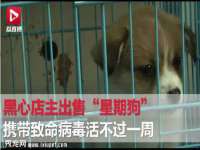 常州常裕商务信息咨询有限公司