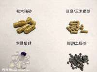 常州常裕商务信息咨询有限公司
