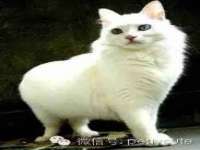 常州常裕商务信息咨询有限公司