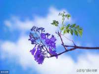 常州常裕商务信息咨询有限公司