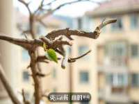 常州常裕商务信息咨询有限公司