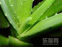 常州常裕商务信息咨询有限公司