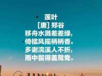 常州常裕商务信息咨询有限公司