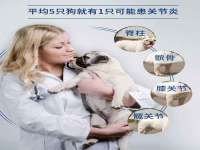 常州常裕商务信息咨询有限公司