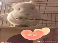 常州常裕商务信息咨询有限公司