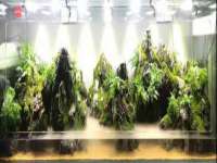 常州常裕商务信息咨询有限公司