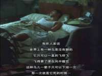 常州常裕商务信息咨询有限公司