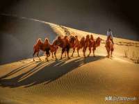 常州常裕商务信息咨询有限公司
