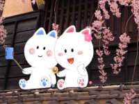 常州常裕商务信息咨询有限公司
