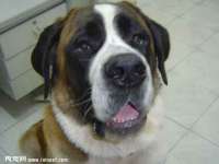 常州常裕商务信息咨询有限公司