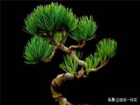 常州常裕商务信息咨询有限公司